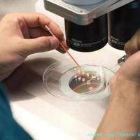 温州人工受孕多少钱？在哪家医院做好