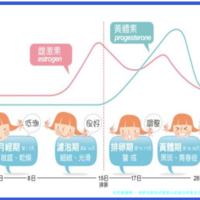 哈萨克斯坦试管婴儿的成功率是多少，技术怎么样