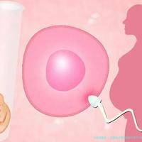 多囊做试管促排后只有3个成熟卵泡怎么办？
