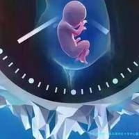 哈尔滨市红十字中心医院洗精费用多少钱？试管婴儿移植成功后检查流程有哪些？