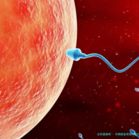 孕期甜蜜诱惑：孕妇吃甘蔗的利与弊全解析