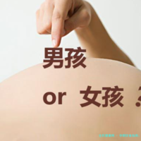 孕期饮食指南：吃什么对胎儿最有益