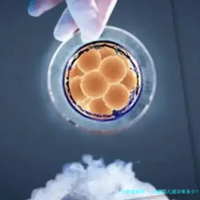 上一篇