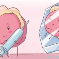 上一篇