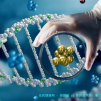 上一篇