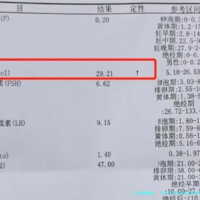 上一篇