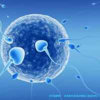 上一篇