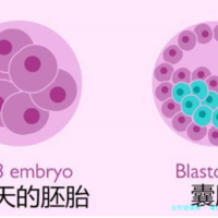 下一篇