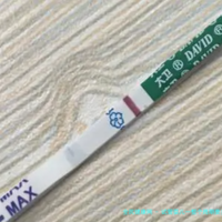 上一篇