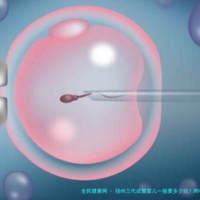 下一篇