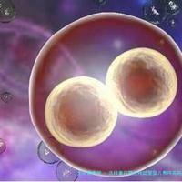 选择重庆第三代试管婴儿费用高吗，需要准备什么！