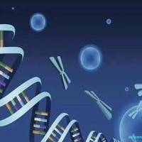移植失败后胚胎去哪了