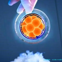 武汉第三代试管生.男.孩费用多少?附供.卵费用明细!
