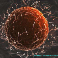 务必在吉林做三代试管婴儿的医院生孩子吗？