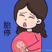 2025试管备孕生孩子费用贵吗-试管助孕生子大概费用多少！