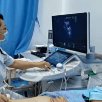 四维彩超检查：近年数据揭秘与孕期新体验