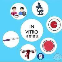 孕妇能吃虾吗？5年最新数据与实用建议