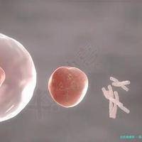 验血查男女孩的建议时间：数据告诉你何时最准