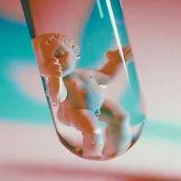 儿女双全小技巧分享，这个5个方法助你生出双生子