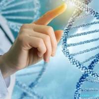 天津医科大学第二医院生殖科做试管婴儿挂号费多少钱？