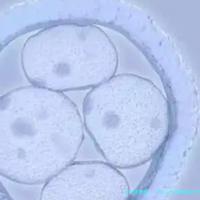 广州三代试管婴儿助孕费用整理！全程花费大揭秘，助您心中有数！