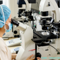 介绍美国精子试管生子的具体费用！在美国精子能在国内生吗