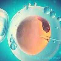 促排卵药物和试管婴儿的几个误区，并没有科学依据！