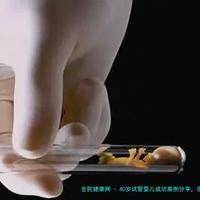 40岁试管婴儿成功案例分享，亲身经历告诉你成功率多高