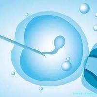 卵巢粘液性囊腺癌：近年数据揭秘，生存希望与挑战