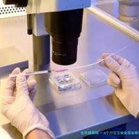 6个月宝宝辅食添加顺序表全攻略：新手父母必读指南（2024最新版）