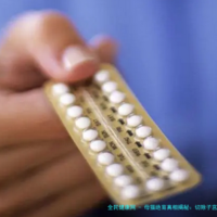 母猫绝育真相揭秘：切除子宫还是卵巢？近5年数据大解析