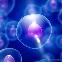 专家推荐!2025上海第三代试管助孕生孩子医院排名出炉!