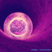 江苏省内有资质开展三代试管技术的私人机构有哪些？