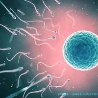 [优秀发布]2025杭州宁波十大靠谱试管机构对比,高龄二胎如何选择？