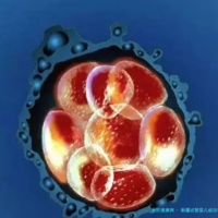 新疆试管婴儿成功率最新数据!AMH值低如何通过个性化方案实现助孕梦想？