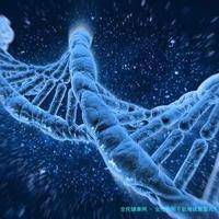 女性为何不能做试管婴儿？破除误解，拥抱科技