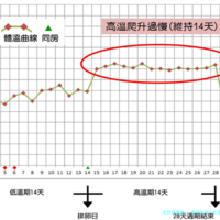 泰国杰特宁在泰国试管婴儿排名怎样？