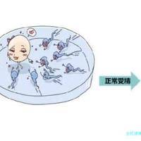 宜昌试管婴儿均价是多少，准备20万足够用了