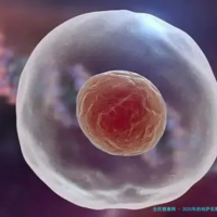 2025年的哈萨克斯坦试管婴儿整个旅程有哪些风险_哈萨克斯坦试管婴儿怎么样！