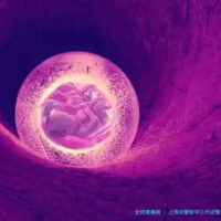 上海试管助孕三代试管婴儿费用大致多少钱？
