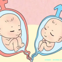 深圳试管婴儿机构深度测评,2025年助孕成功率揭秘!