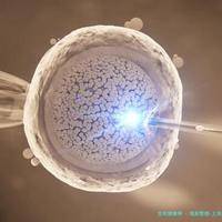 专属整理-上海2025年第三代试管婴儿中心排名全解析!