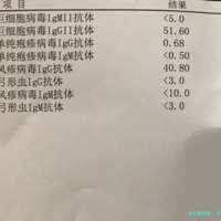 下一篇