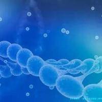 始基子宫试管婴儿费用分析？正规助孕机构没有隐形消费