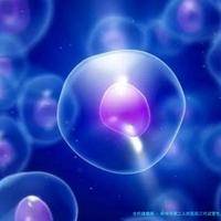蚌埠市第二人民医院三代试管生孩子费用大概多少？试管成功率及费用分析