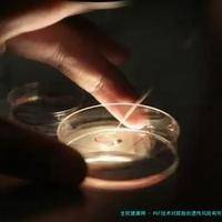 PGT技术对胚胎的遗传风险有何影响？需要哪些心理和经济准备？
