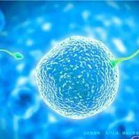 天门之谜：揭秘试管婴儿生育奇迹的神秘摇篮