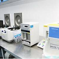 试管婴儿过程中有哪些注意事项？全胚冷冻策略具体是怎样实施的？