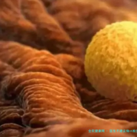 医生不建议做nt检查可能超时了，到底做不做1分钟讲清