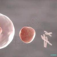 2025年在赣州去海南永远幸医院做三代试管的费用贵吗？大概要花费多少钱